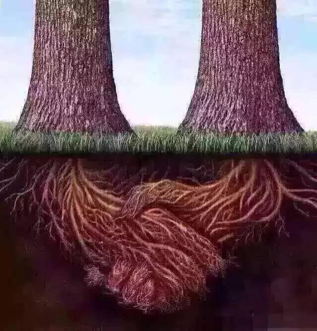 1460534426801809.jpg rr.jpg