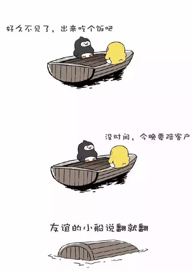 1461321029156104.jpg 4.jpg