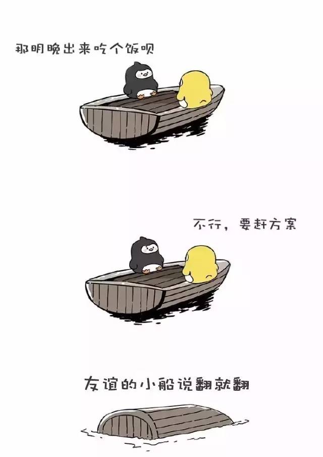 1461321039546390.jpg 5.jpg