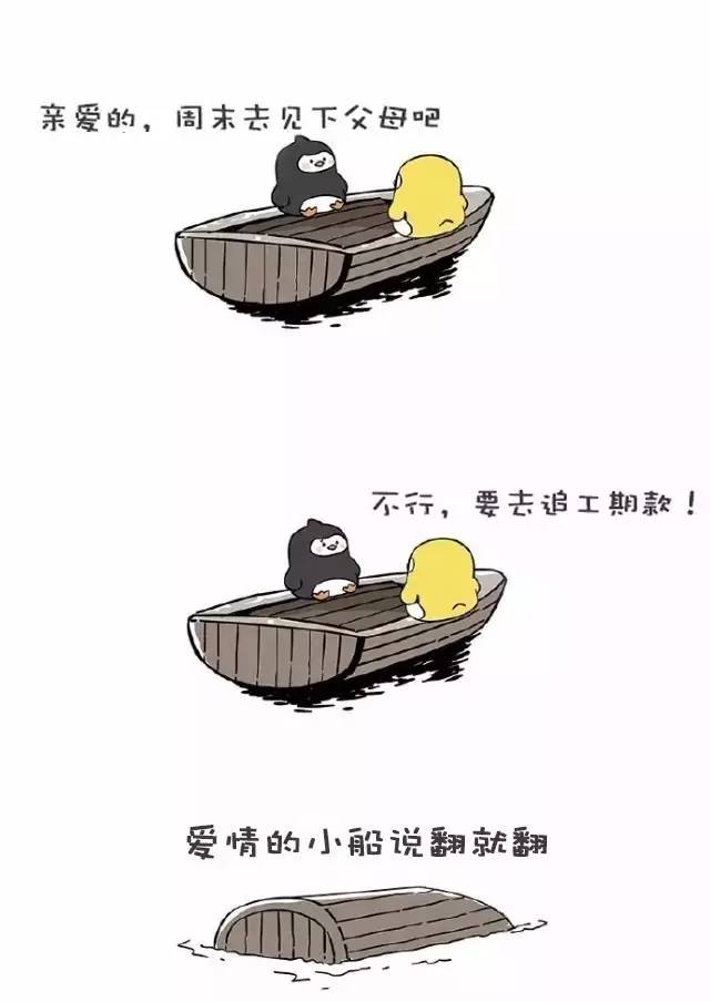 1461321398343405.jpg 10.jpg